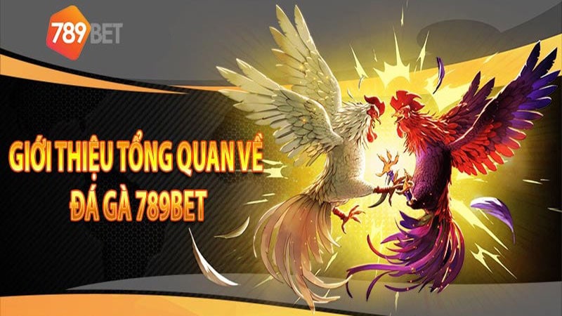 Trực tiếp đá gà 789bet là sân chơi mà bạn không nên bỏ lỡ