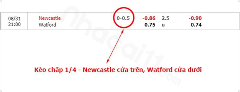 Cách đọc kèo bóng đá: Tỷ lệ 1/4