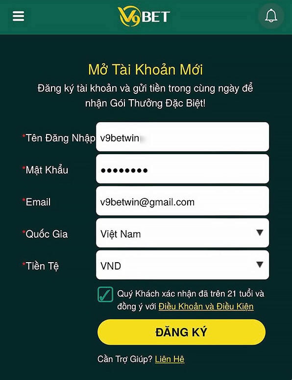 Điền thông tin đăng ký V9Bet theo yêu cầu