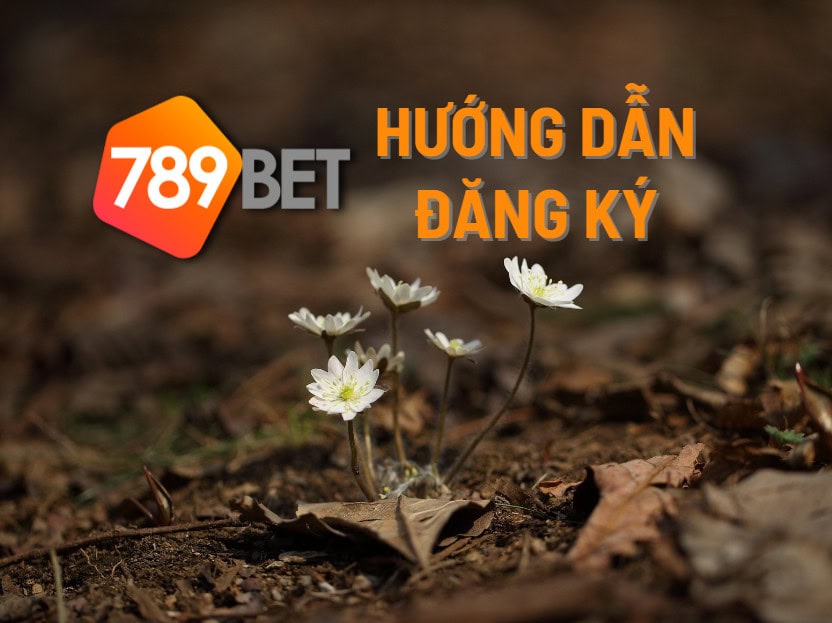 Hướng dẫn đăng ký 789Bet chi tiết bằng hình minh họa