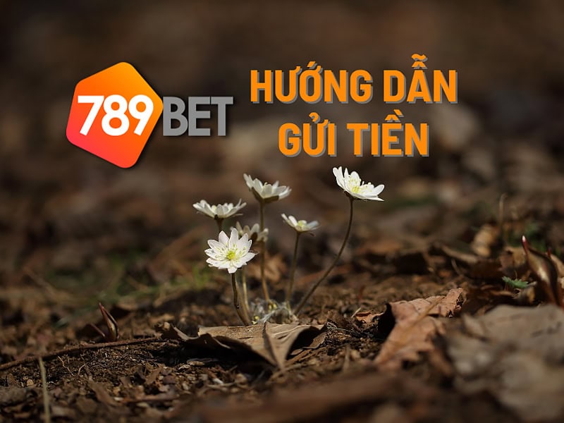 Cách nạp tiền 789Bet đơn giản với hình ảnh minh họa