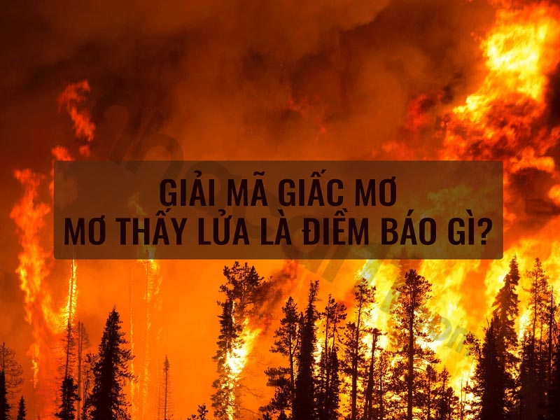 Mơ thấy lửa cháy đánh con gì ăn đậm